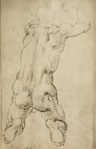 Study of a virile figure